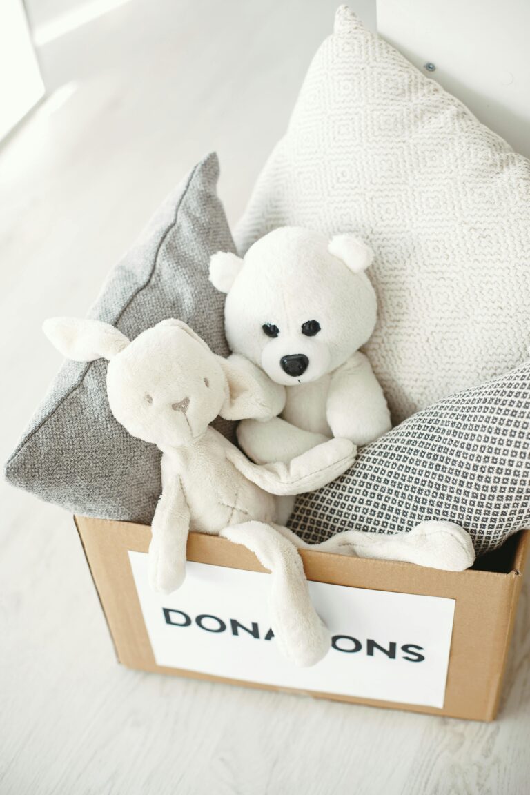 Box of toys and pillows with a "donations" sign on the box